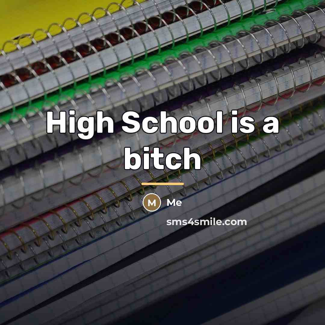 “High School is a bitch…” quote by Me