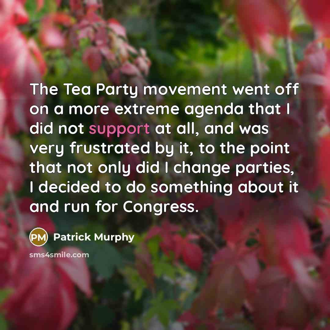 “The Tea Party movement went off on a more extreme…” quote by Patrick Murphy