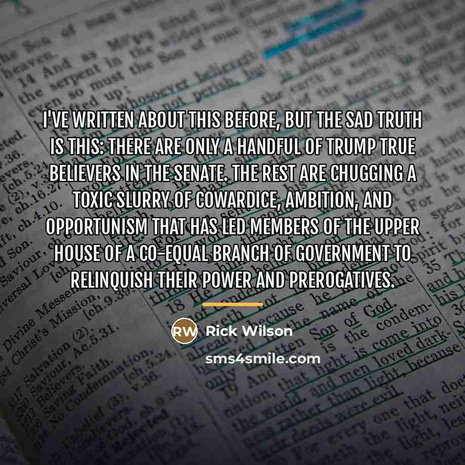 “I've written about this before, but the sad truth is…” quote by Rick Wilson