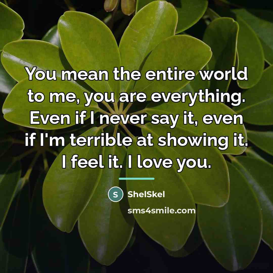 “You mean the entire world to me, you are everything.…” quote by ShelSkel