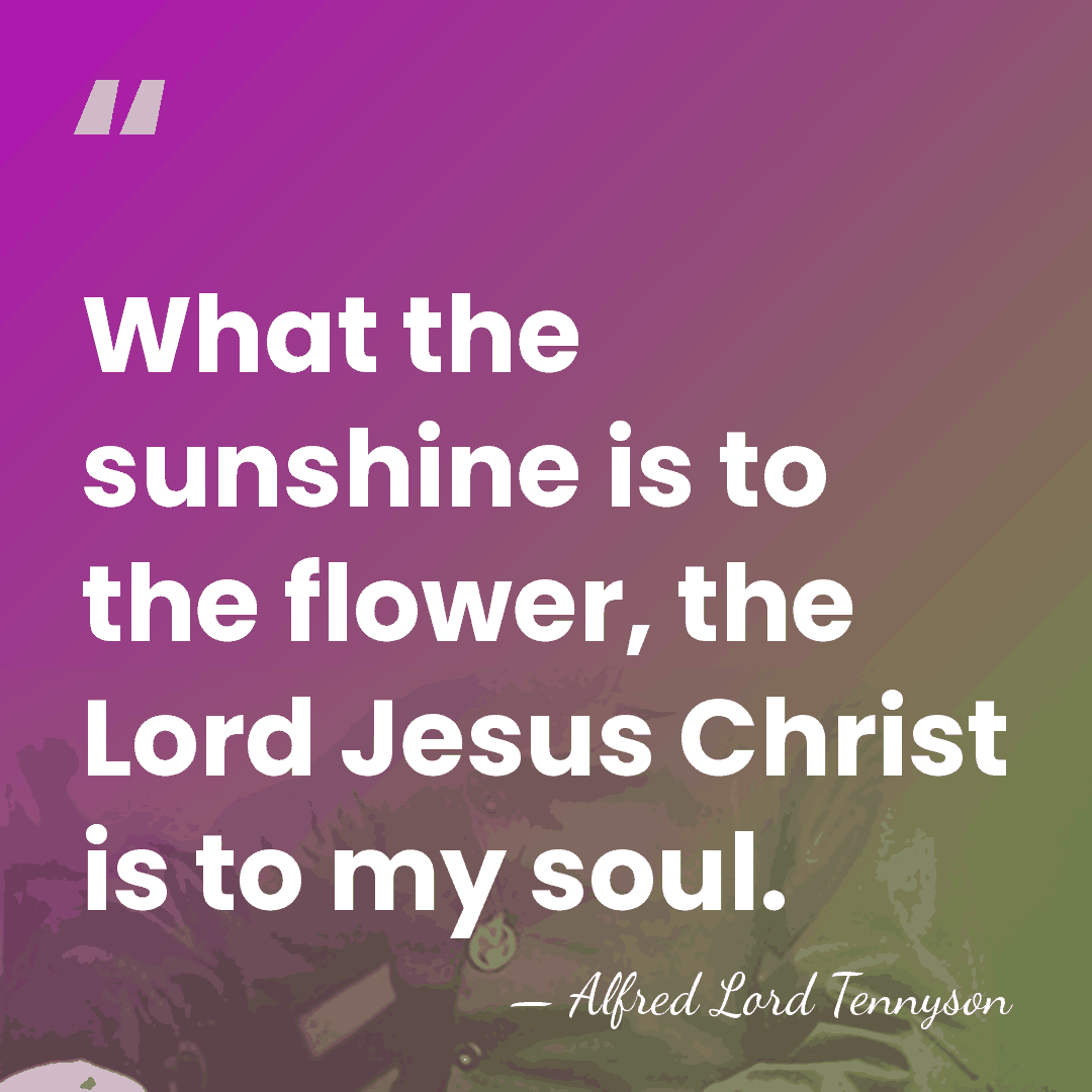 What the sunshine is to the flower, the Lord Jesus Christ is&hellip; - Alfred Lord Tennyson