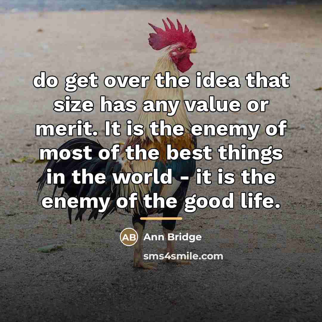 “do get over the idea that size has any value…” quote by Ann Bridge