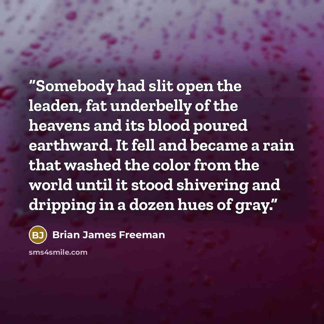 “Somebody had slit open the leaden, fat underbelly of the heavens and its blood poured earthward. It fell and became a rain that washed the color from the world until it stood shivering and dripping in a dozen hues of gray.” quote by Brian James Freeman