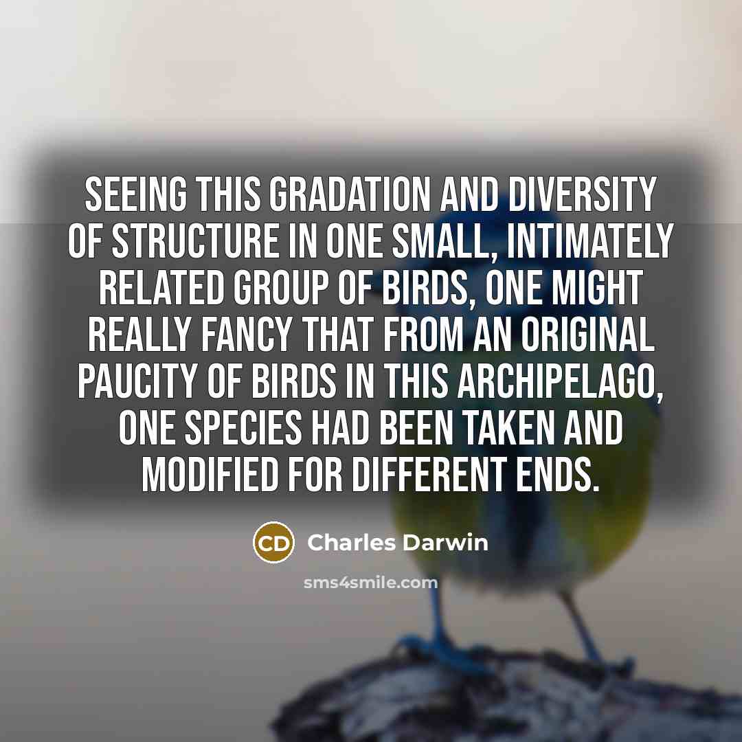 “Seeing this gradation and diversity of structure in one small,…” quote by Charles Darwin