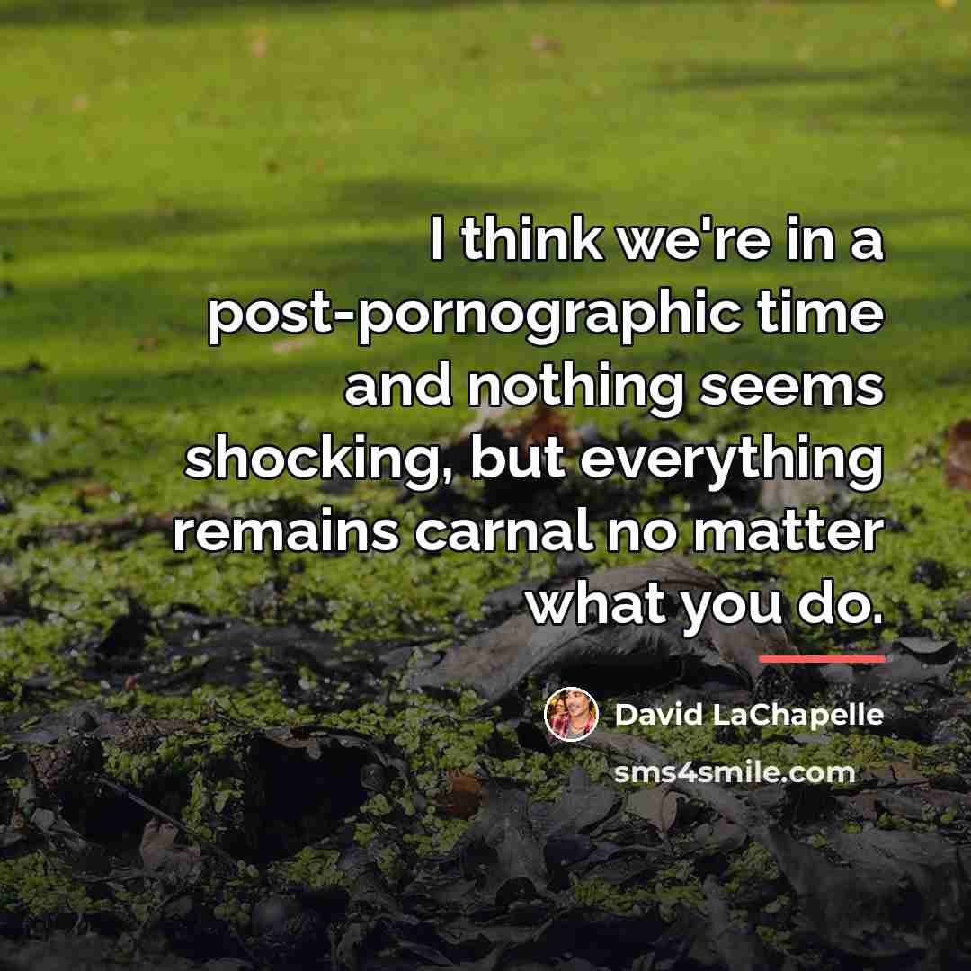 “I think we're in a post-pornographic time and nothing seems…” quote by David LaChapelle