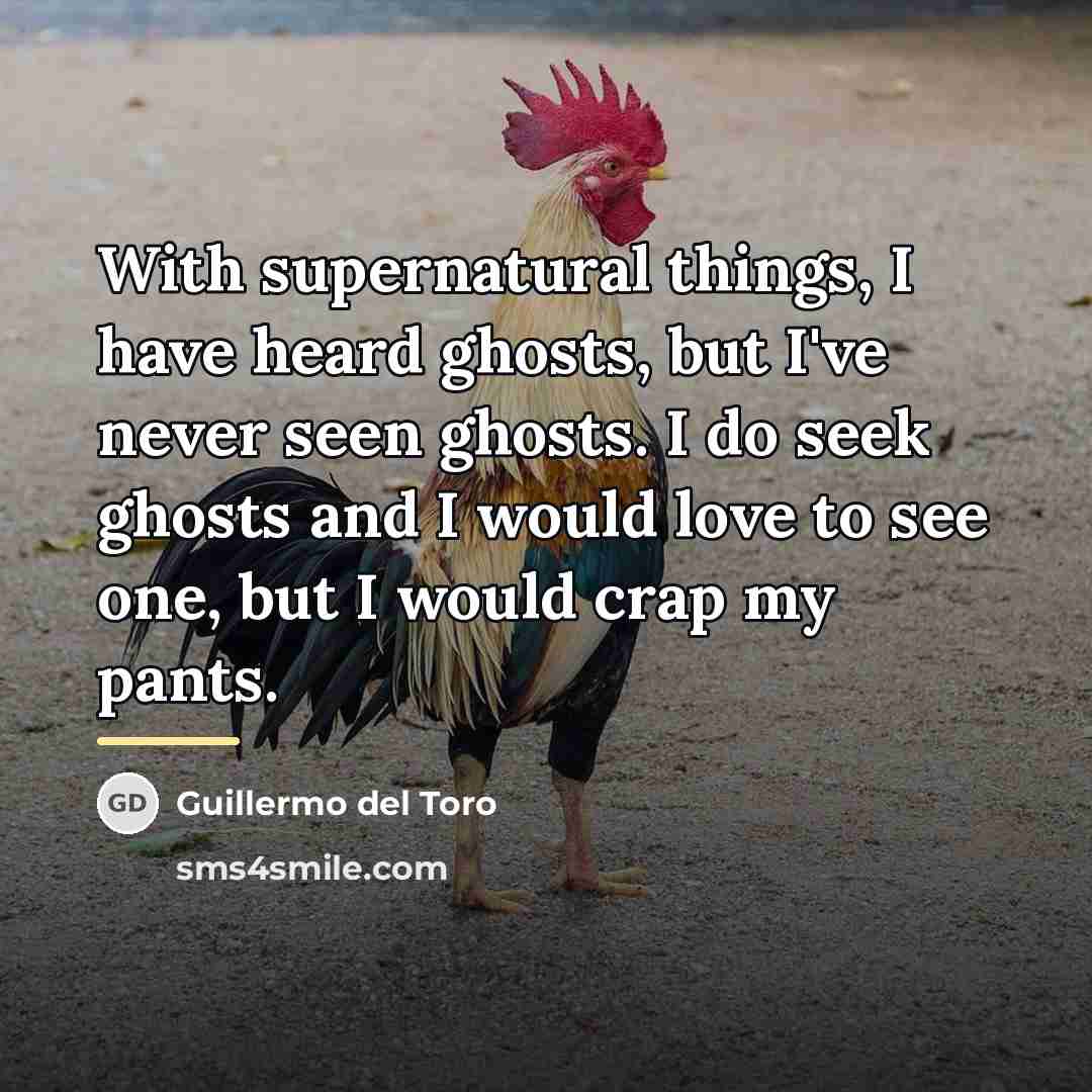 “With supernatural things, I have heard ghosts, but I've never…” quote by Guillermo del Toro
