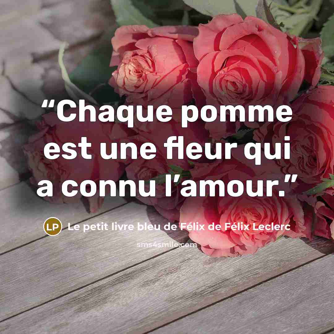 “Chaque pomme est une fleur qui a connu l’amour.” quote by Le petit livre bleu de Félix de Félix Leclerc