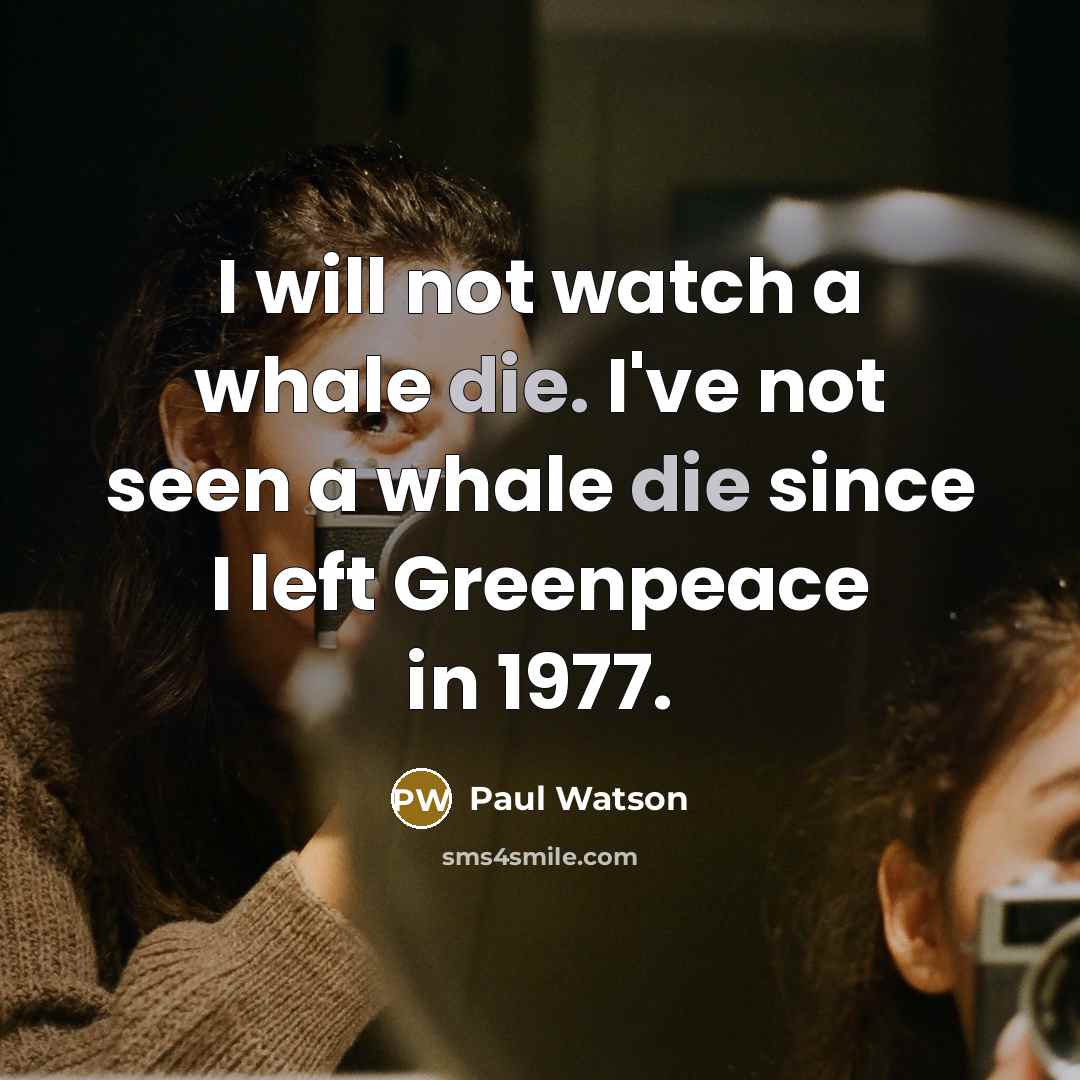“I will not watch a whale die. I've not seen…” quote by Paul Watson