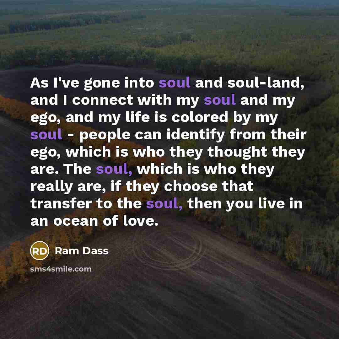 “As I've gone into soul and soul-land, and I connect…” quote by Ram Dass