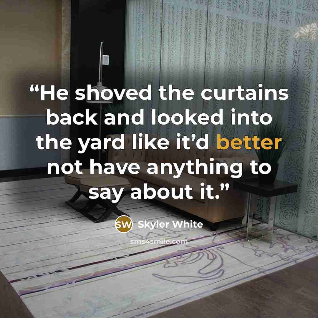 “He shoved the curtains back and looked into the yard like it’d better not have anything to say about it.” quote by Skyler White