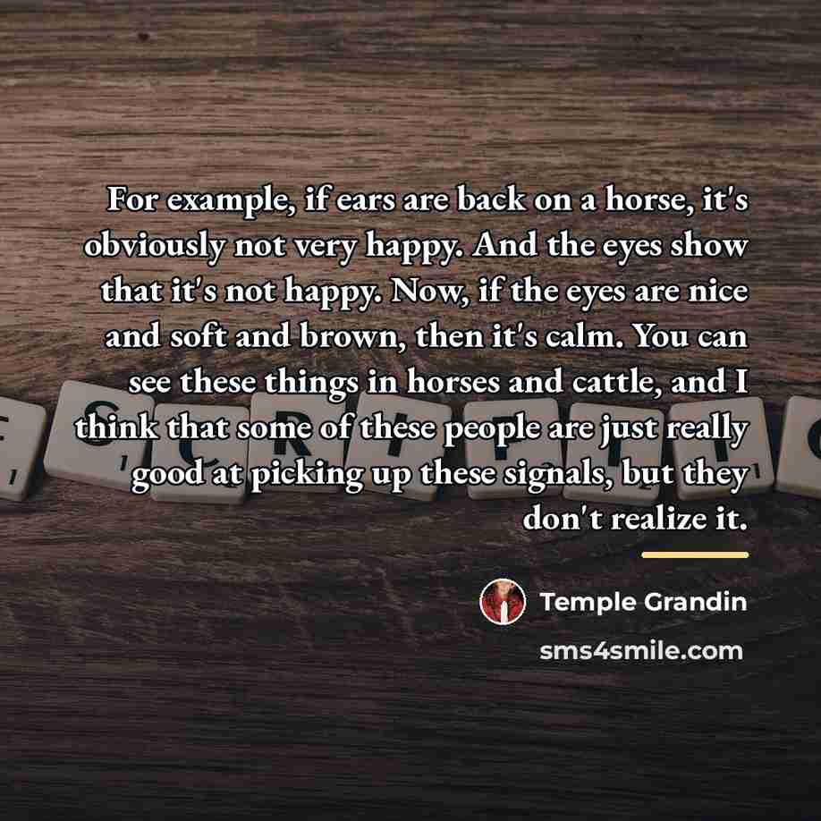 “For example, if ears are back on a horse, it's…” quote by Temple Grandin