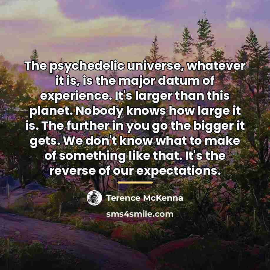 “The psychedelic universe, whatever it is, is the major datum…” quote by Terence McKenna