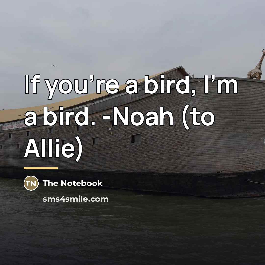 “If you're a bird, I'm a bird. -Noah (to Allie)…” quote by The Notebook