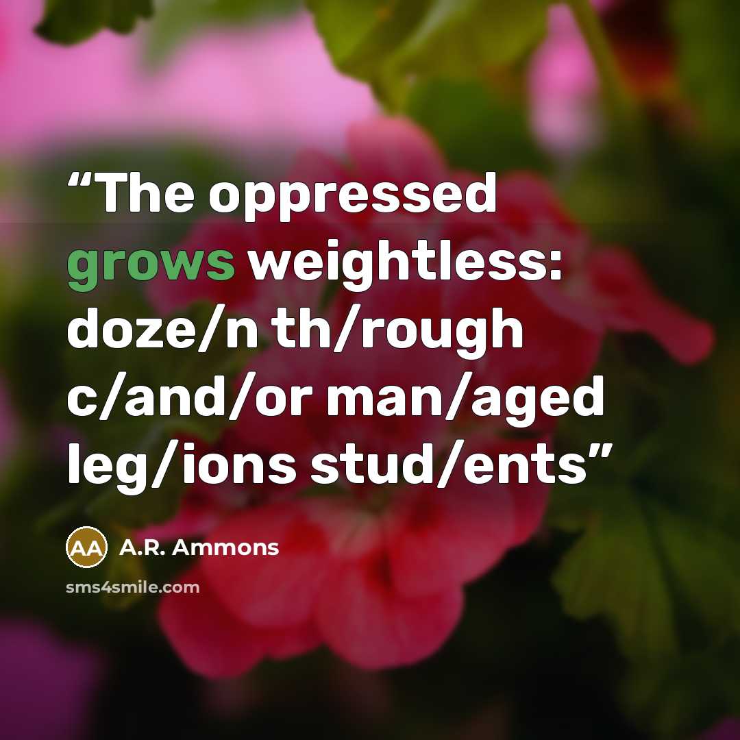 “The oppressed grows weightless: doze/n th/rough c/and/or man/aged leg/ions stud/ents” quote by A.R. Ammons