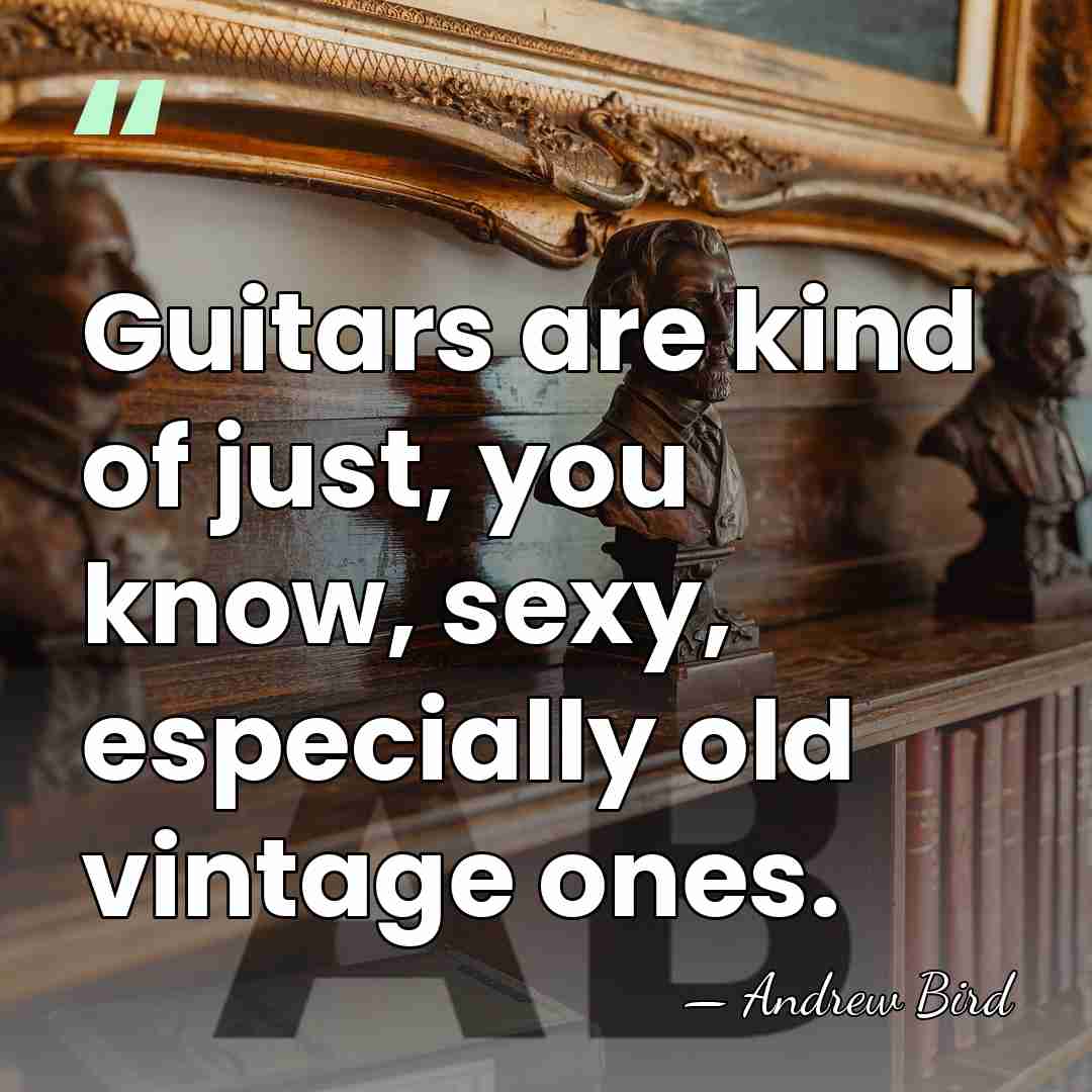Guitars are kind of just, you know, sexy, especially old vintage ones. - Andrew Bird