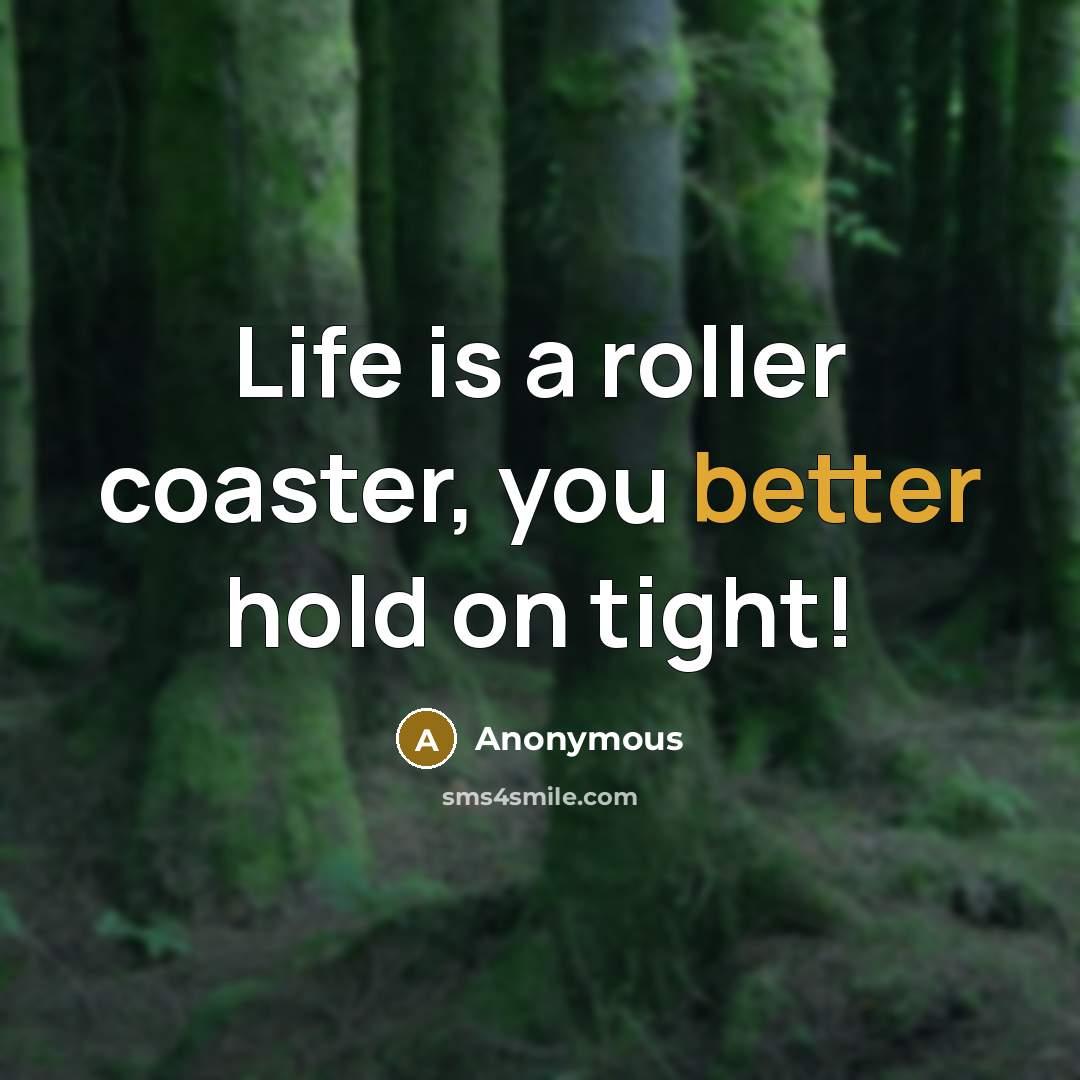 “Life is a roller coaster, you better hold on tight!” quote by Anonymous
