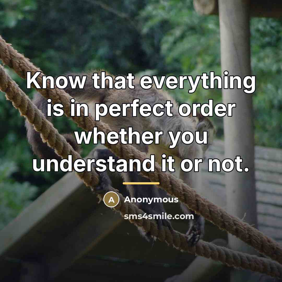 “Know that everything is in perfect order whether you understand…” quote by Anonymous