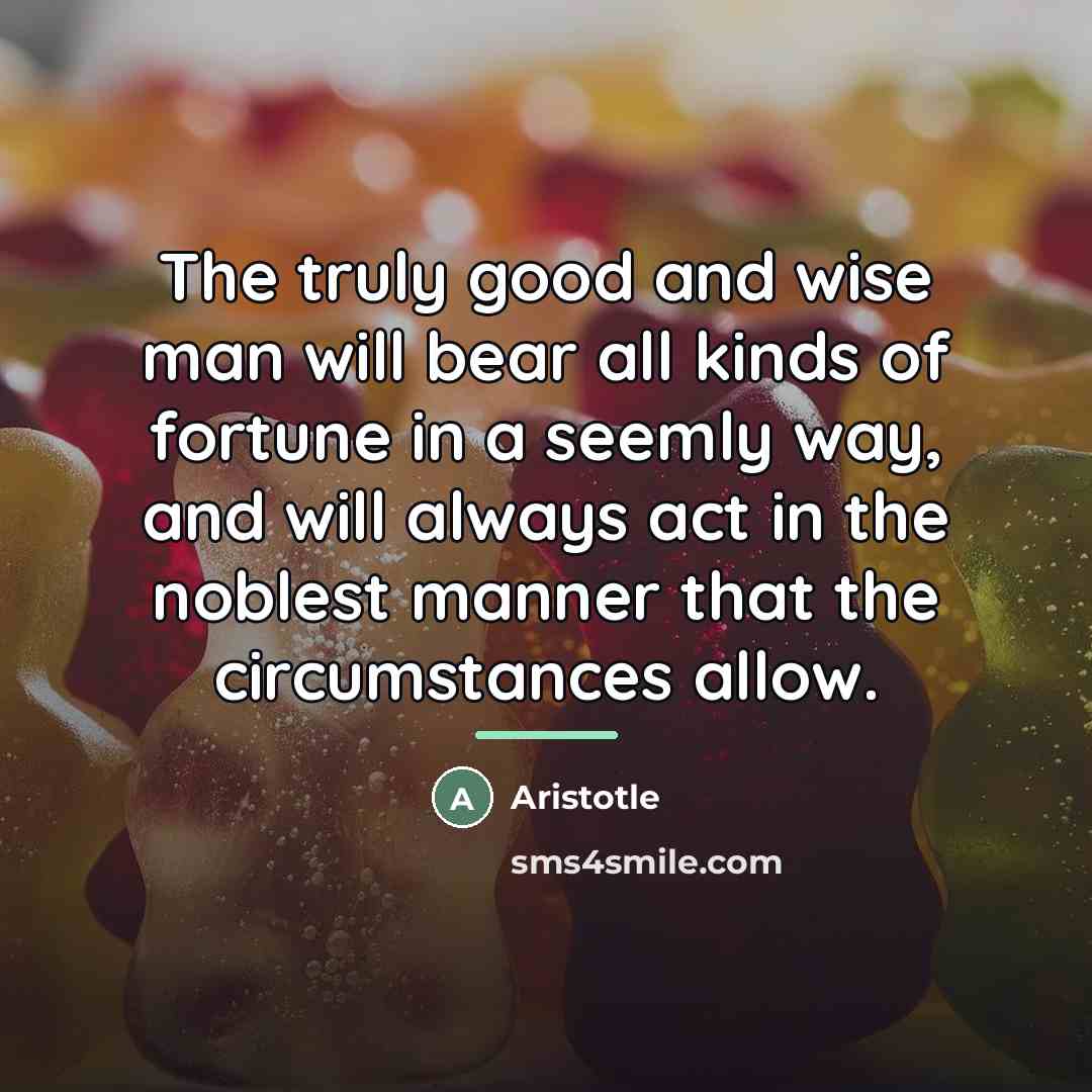 “The truly good and wise man will bear all kinds…” quote by Aristotle