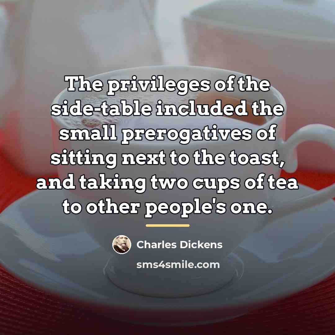 “The privileges of the side-table included the small prerogatives of…” quote by Charles Dickens
