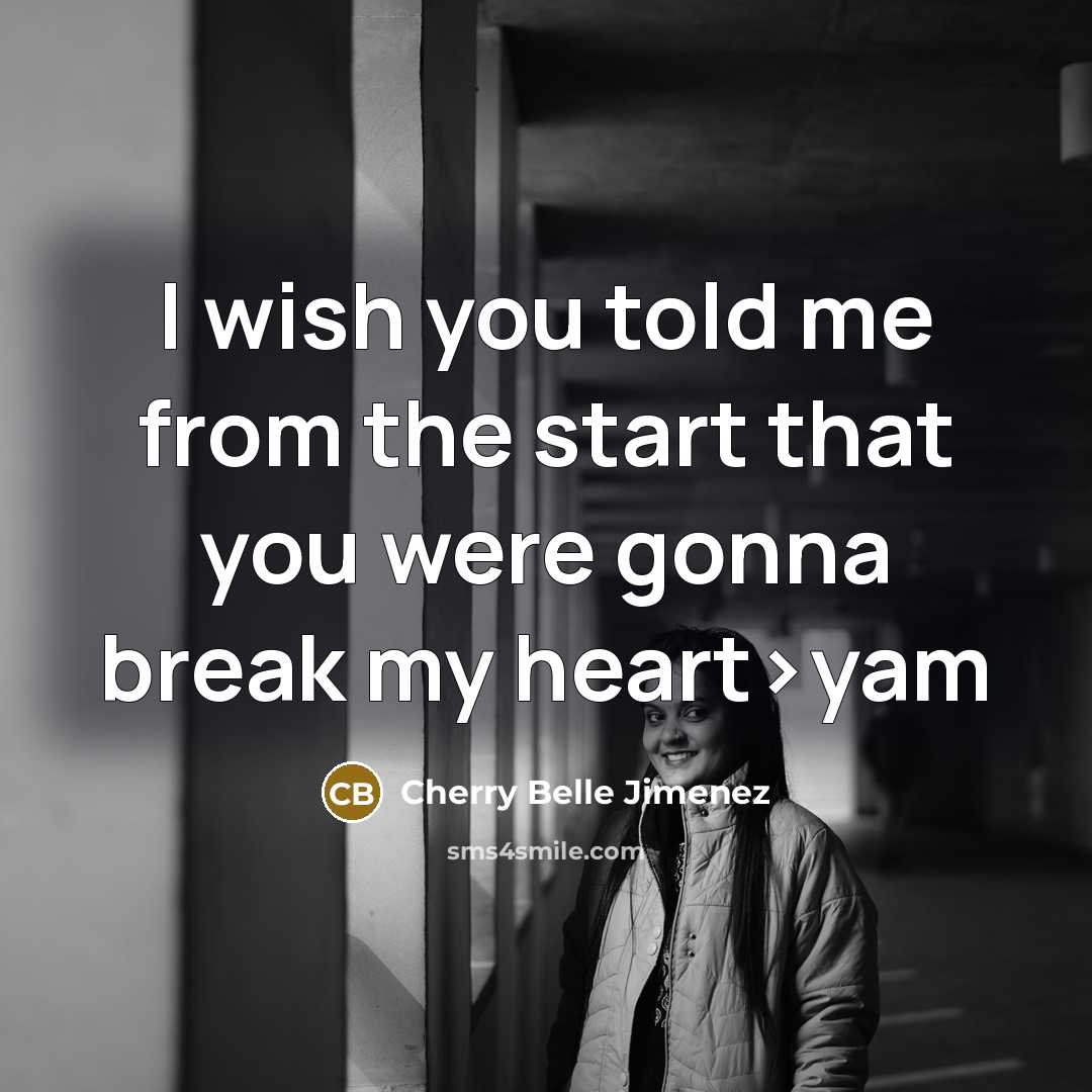 “I wish you told me from the start that you…” quote by Cherry Belle Jimenez