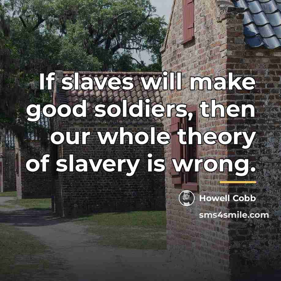 “If slaves will make good soldiers, then our whole theory…” quote by Howell Cobb