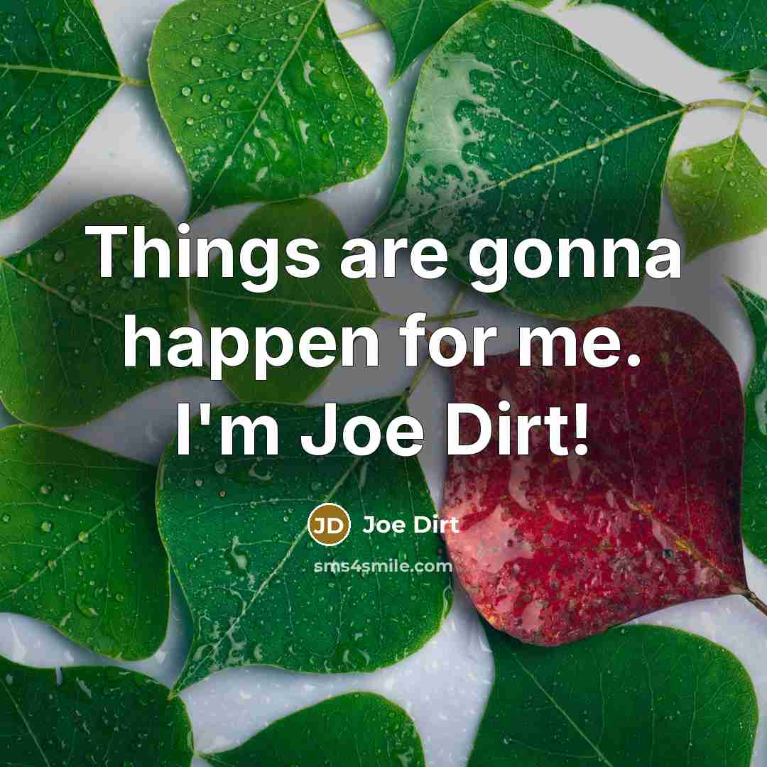 “Things are gonna happen for me. I'm Joe Dirt!” quote by Joe Dirt