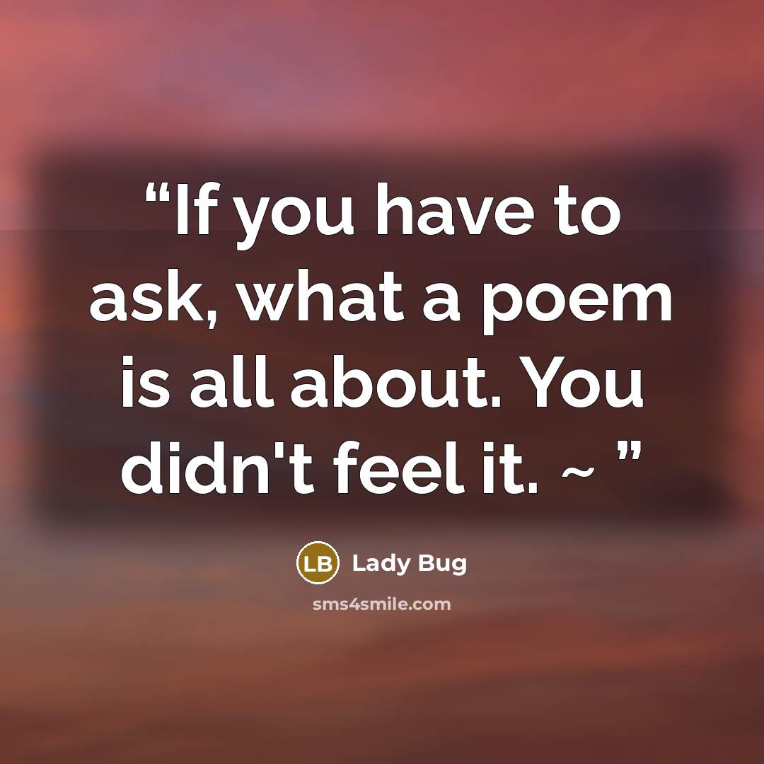 “If you have to ask, what a poem is all about. You didn't feel it. ~” quote by Lady Bug