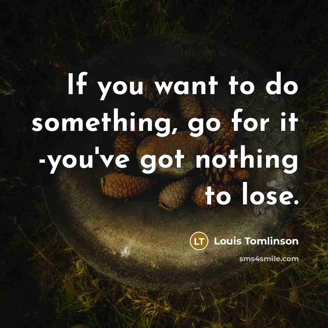 “If you want to do something, go for it -you've…” quote by Louis Tomlinson