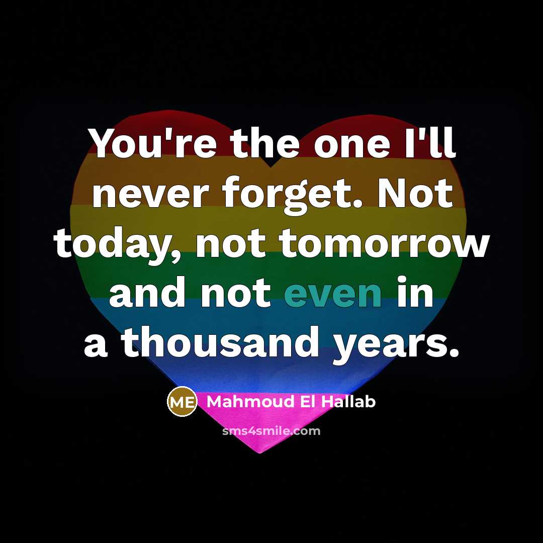 “You're the one I'll never forget. Not today, not tomorrow…” quote by Mahmoud El Hallab