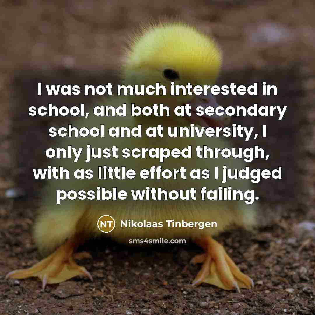 “I was not much interested in school, and both at…” quote by Nikolaas Tinbergen