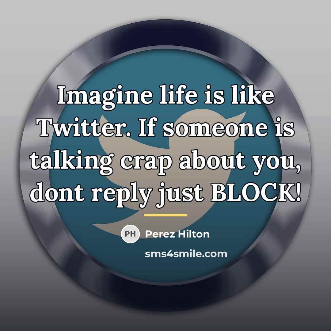 “Imagine life is like Twitter. If someone is talking crap…” quote by Perez Hilton