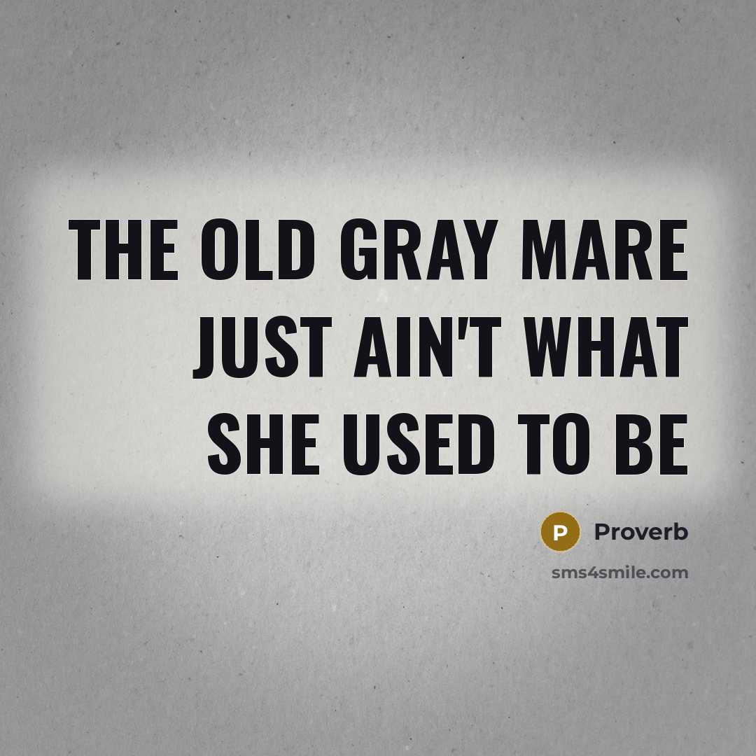 “The old gray mare just ain't what she used to…” quote by Proverb