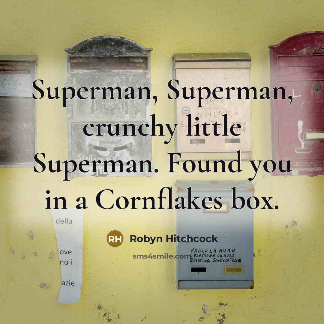 “Superman, Superman, crunchy little Superman. Found you in a Cornflakes…” quote by Robyn Hitchcock