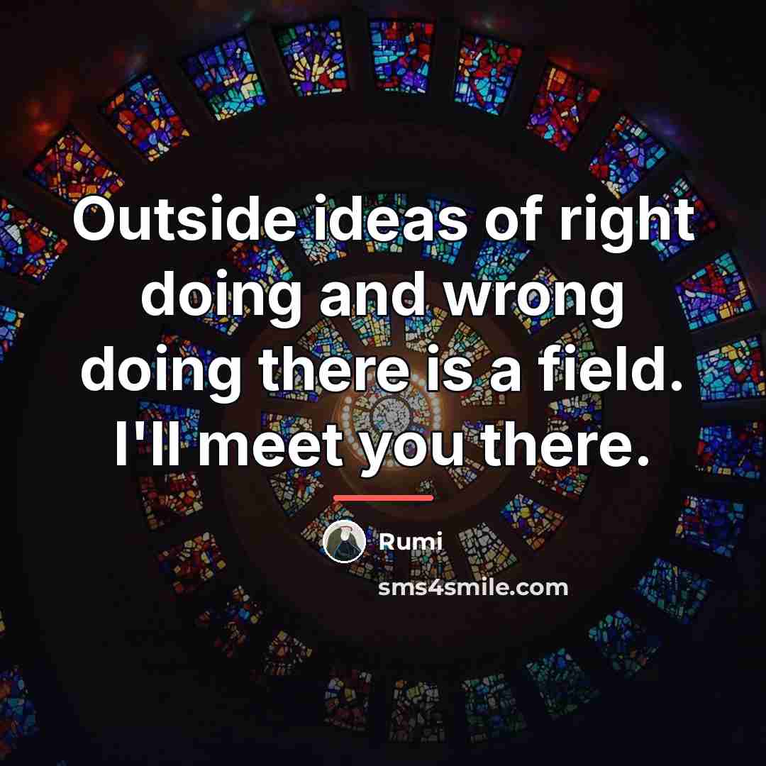 “Outside ideas of right doing and wrong doing there is…” quote by Rumi