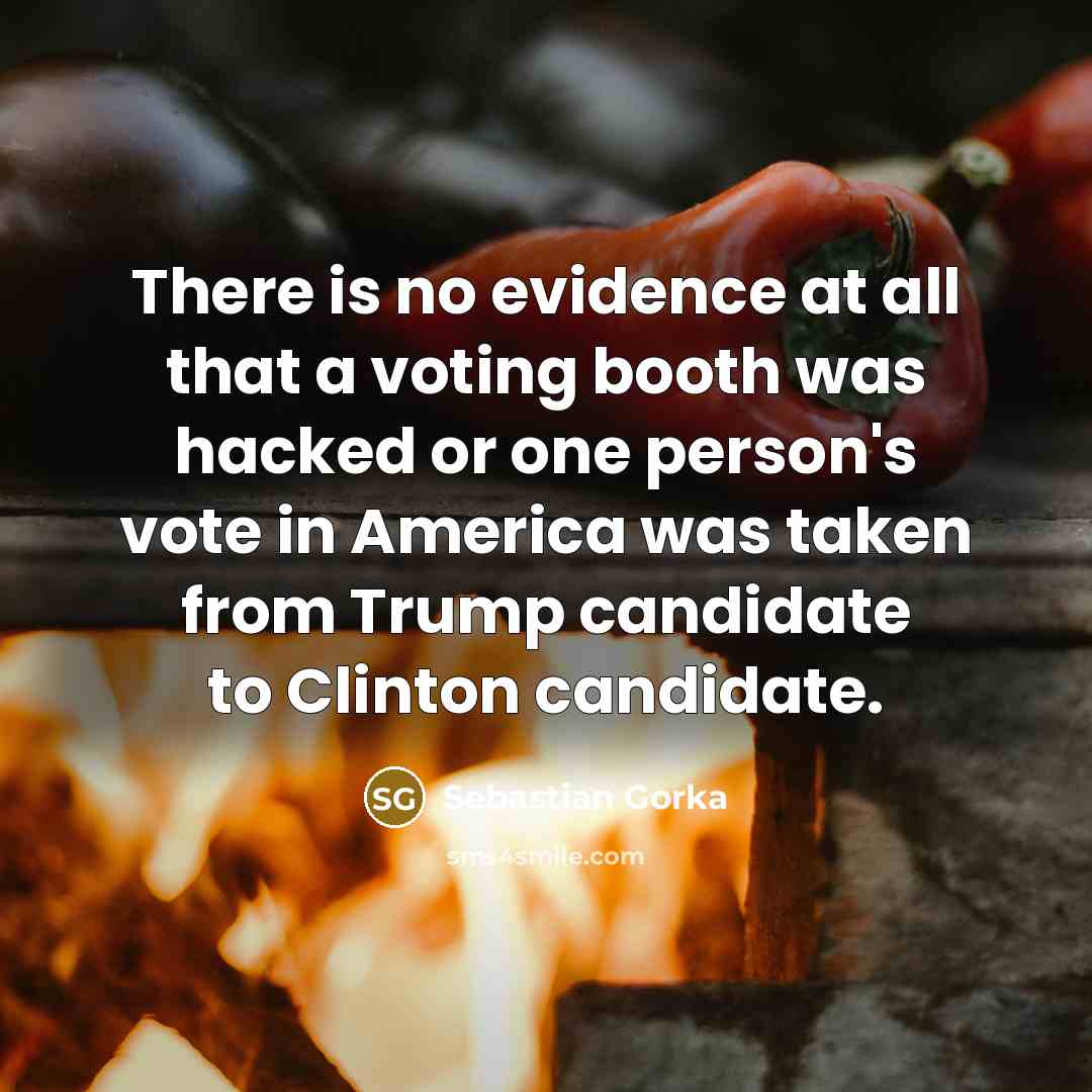 “There is no evidence at all that a voting booth…” quote by Sebastian Gorka