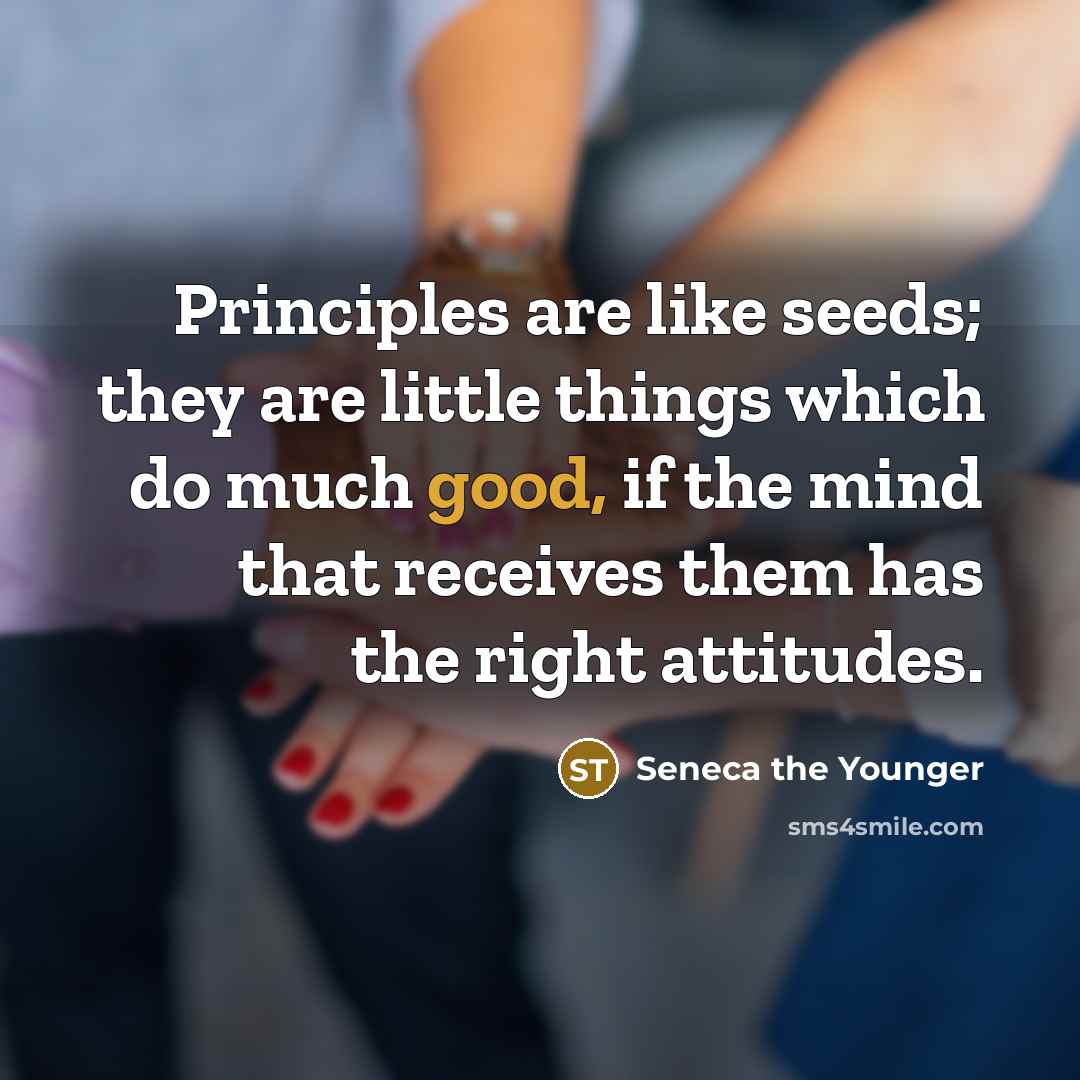 “Principles are like seeds; they are little things which do…” quote by Seneca the Younger