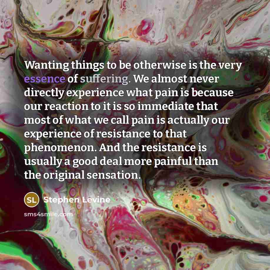 “Wanting things to be otherwise is the very essence of…” quote by Stephen Levine