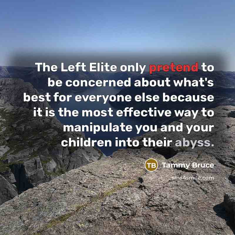 “The Left Elite only pretend to be concerned about what's…” quote by Tammy Bruce