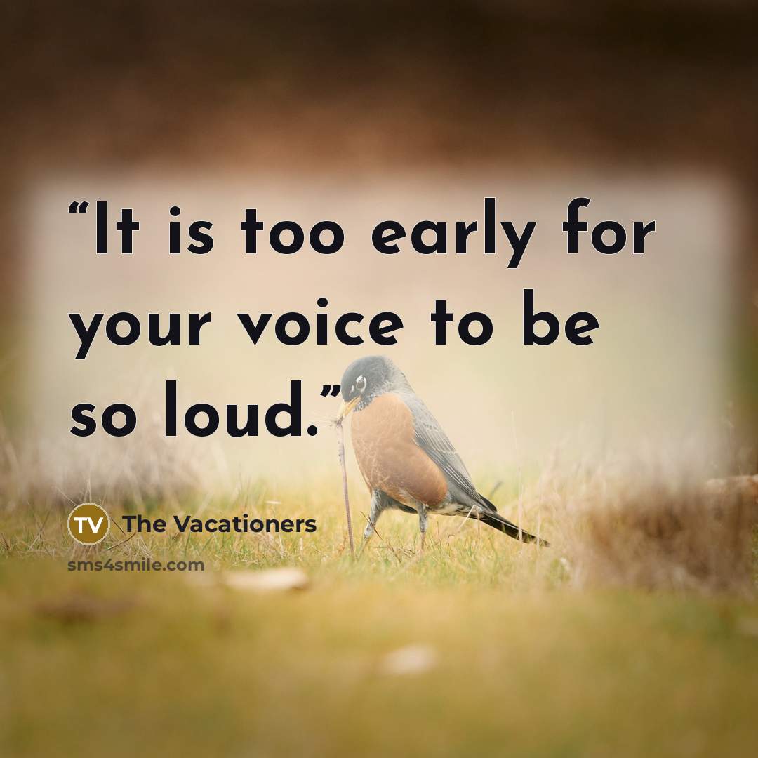 “It is too early for your voice to be so loud.” quote by The Vacationers