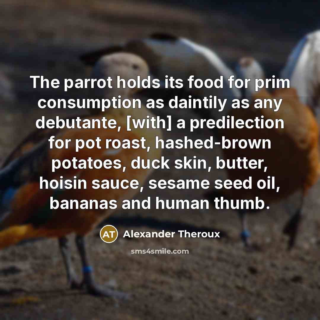 “The parrot holds its food for prim consumption as daintily…” quote by Alexander Theroux
