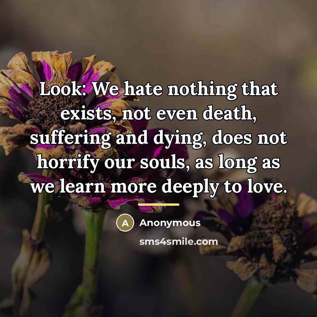 “Look: We hate nothing that exists, not even death, suffering…” quote by Anonymous