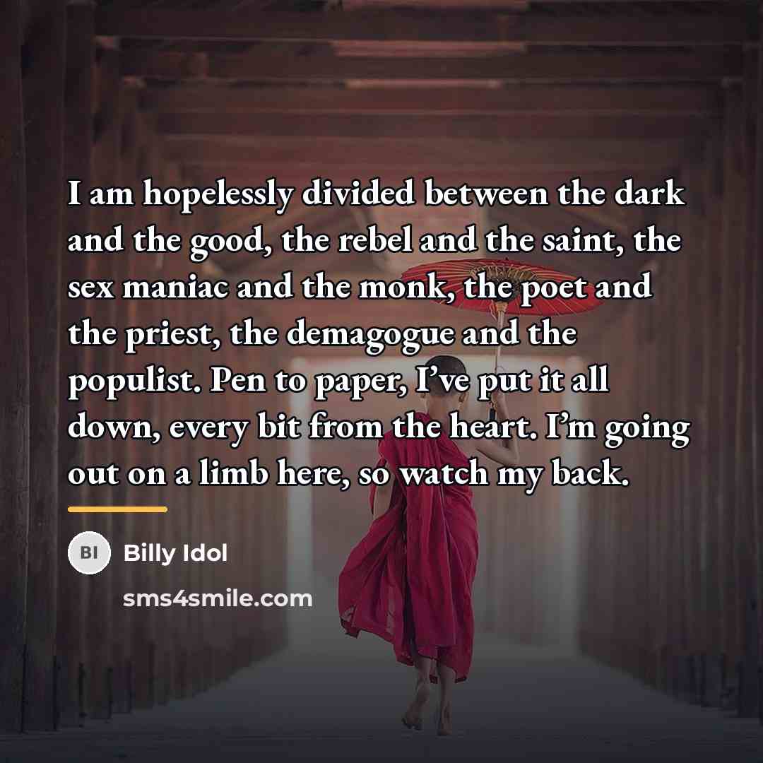 “I am hopelessly divided between the dark and the good,…” quote by Billy Idol