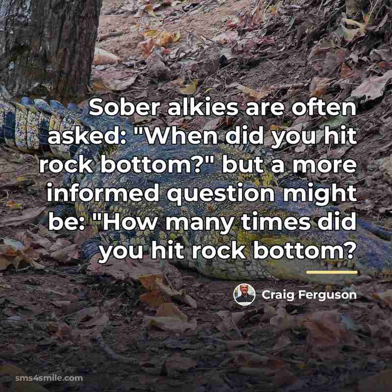 “Sober alkies are often asked: "When did you hit rock…” quote by Craig Ferguson