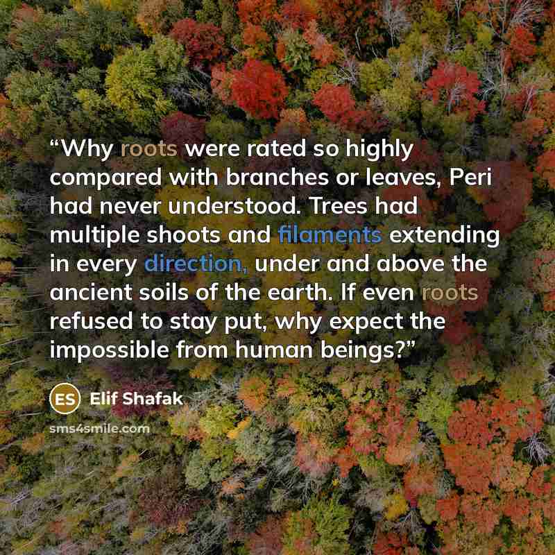 “Why roots were rated so highly compared with branches or leaves, Peri had never understood. Trees had multiple shoots and filaments extending in every direction, under and above the ancient soils of the earth. If even roots refused to stay put, why expect the impossible from human beings?” quote by Elif Shafak