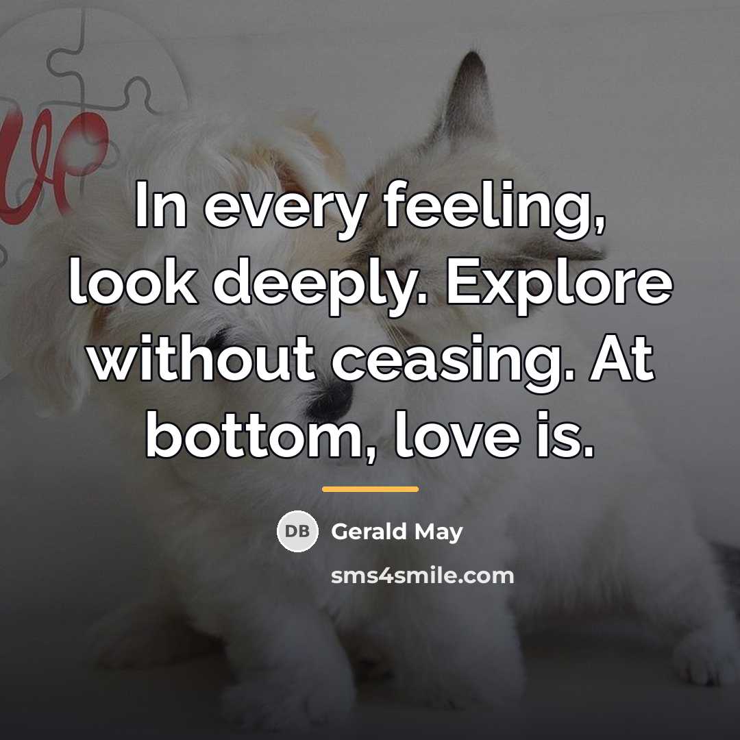 “In every feeling, look deeply. Explore without ceasing. At bottom,…” quote by Gerald May