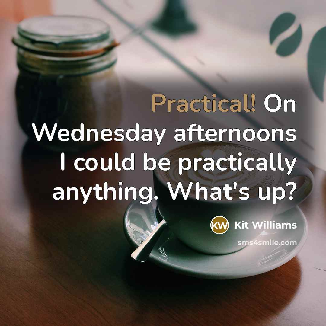 “Practical! On Wednesday afternoons I could be practically anything. What's…” quote by Kit Williams