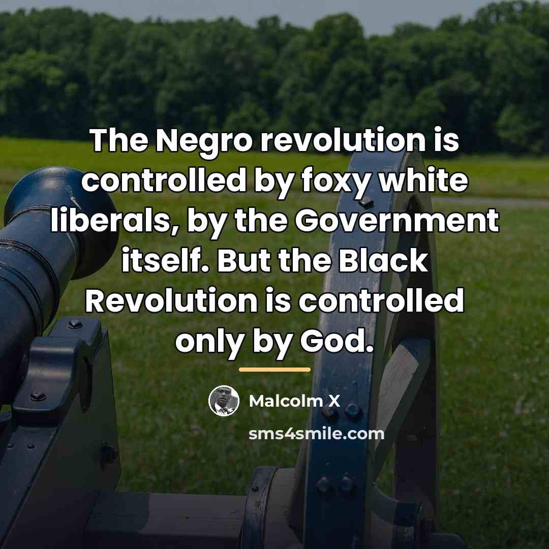 “The Negro revolution is controlled by foxy white liberals, by…” quote by Malcolm X