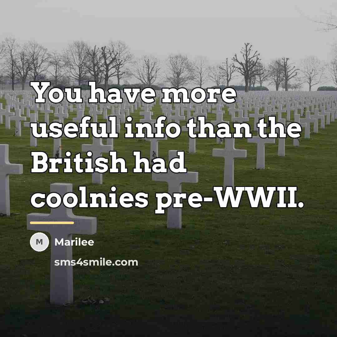 “You have more useful info than the British had coolnies…” quote by Marilee