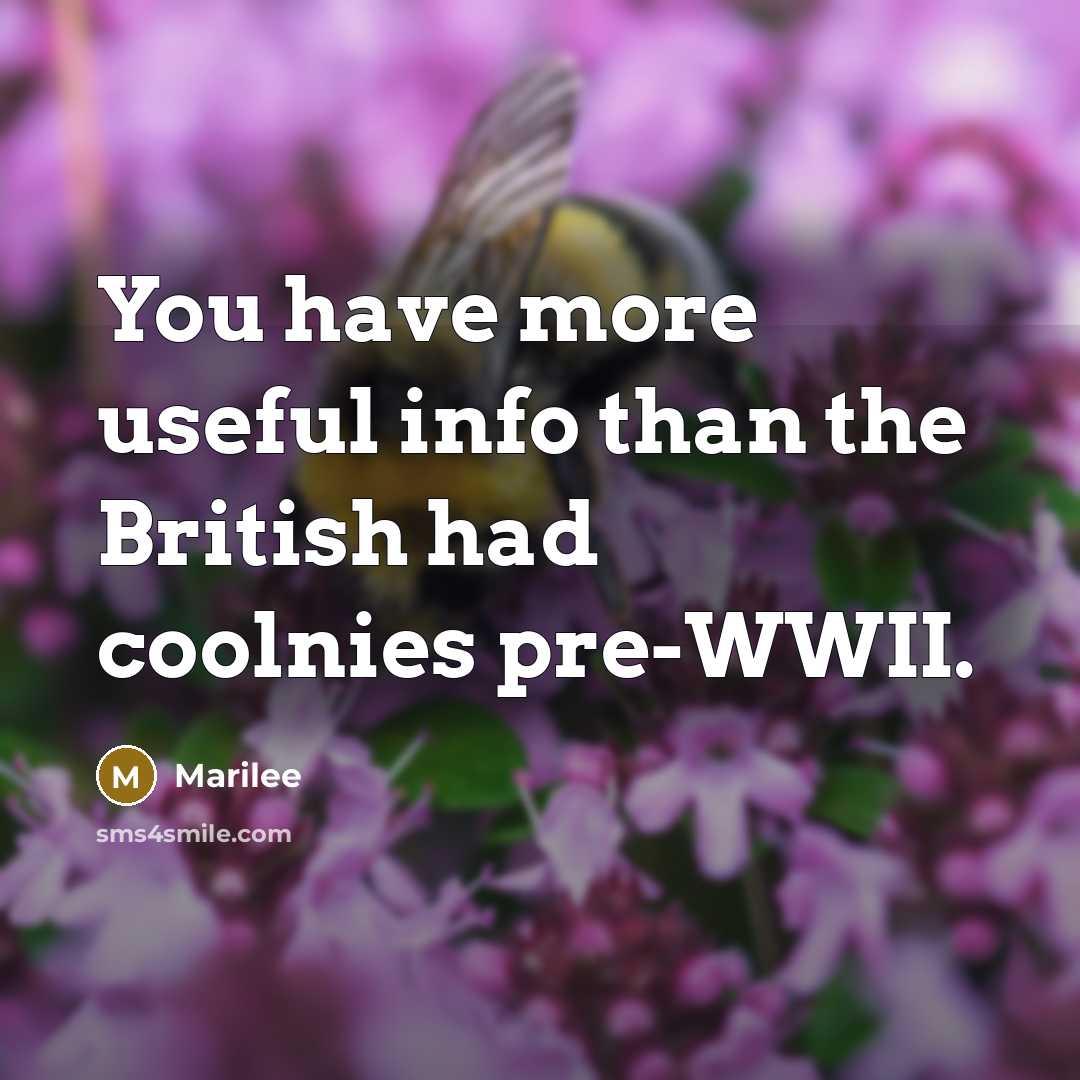 “You have more useful info than the British had coolnies pre-WWII.” quote by Marilee