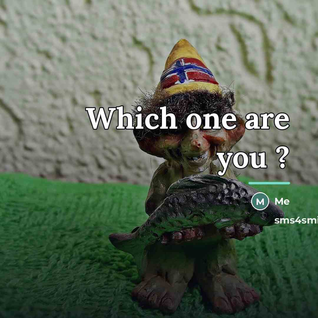 “Which one are you ?…” quote by Me